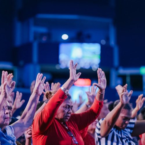 pexels-jibarofoto-19392554